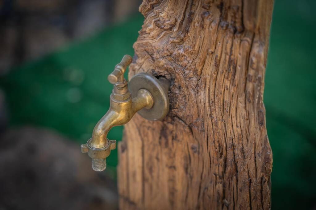 Casa Rural Finca Los Paredones El Paso Εξωτερικό φωτογραφία