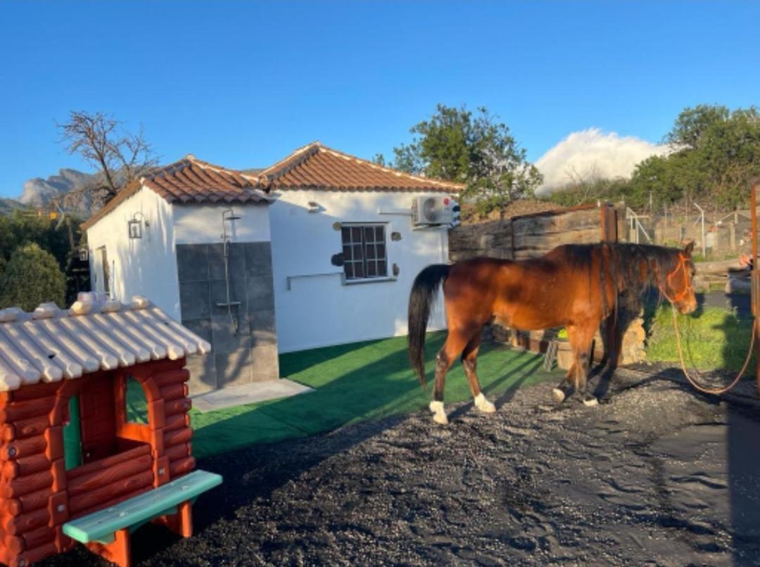 Casa Rural Finca Los Paredones El Paso Εξωτερικό φωτογραφία
