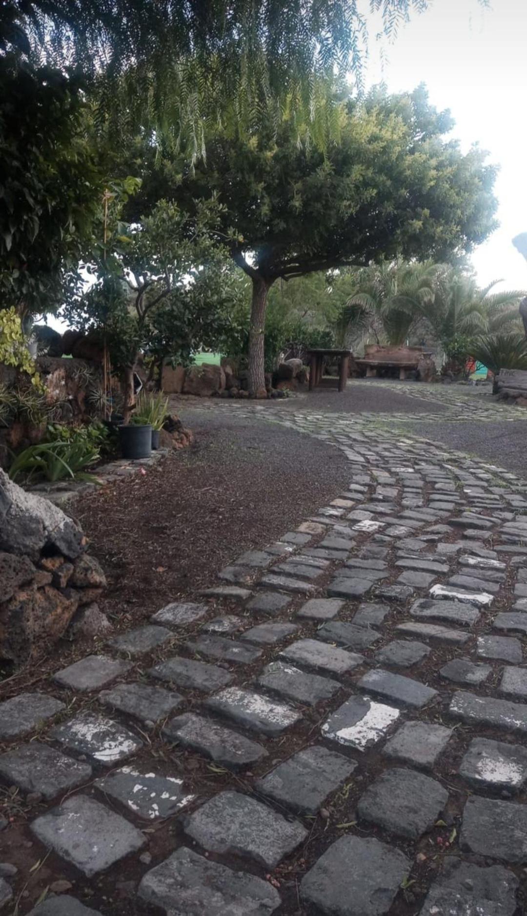 Casa Rural Finca Los Paredones El Paso Εξωτερικό φωτογραφία