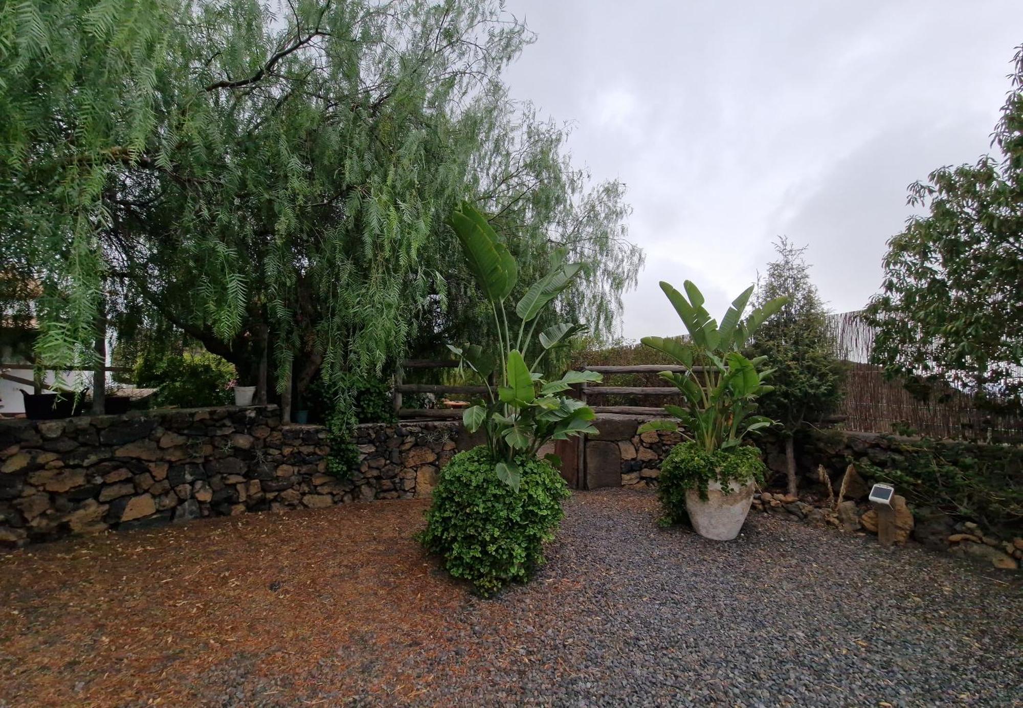 Casa Rural Finca Los Paredones El Paso Εξωτερικό φωτογραφία